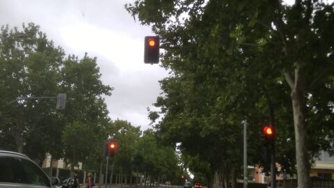 Hay dos semáforos que no se ven hasta estar encima de ellos por tener árboles pegados a ellos. Están en carretera Rueda, nada más terminar el Paseo Zorrilla, en Valladolid, frente al Mercadona.