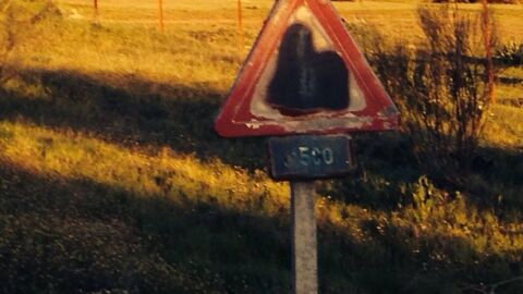 La carretera EX 323 desde Peñalsordo hasta el límite de provincia con ciudad Real está en estado tercermundista el firme son auténticas lijas y lleno de baches y las señales pueden tener más de 40 años y no tienen las medidas reglamentarias ni la altura y no hay arcenes estan llenos de hierbas y arbustos. Los peores kilómetros son del 11 al 13 y del 15 al 17 no se pueden cruzar dos coches y menos dos camiones está zona es muy transitada al ser limite de provincia. Esta zona es mas conocida como la Cuesta la Jara, Esperemos una solución ya haber si vosotros haceis fuerza un saludo y gracias..