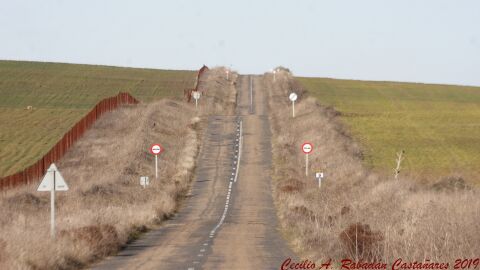 Se solicita a la Junta de Comunidades de Castilla La Mancha revise el estado de la CM-4167, por presentar graves incidencias en su firme que supone un riesgo real de accidentes . 