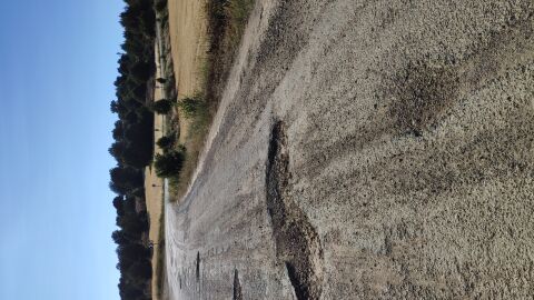 Adjunto imágenes del Km 30a de la certera SO-P-3008. Lamentable el estado en que se encuentra y justo en la entrada/salida de una curva.