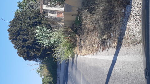 Hola En el Camino Viejo de Santa Pola que es una vía alternativa a la carretera de Santa Pola y que en verano tiene su máximo punto de circulación debido a los atascos de la vía principal (CV 865) hay varios puntos de mucho peligro debido a la cantidad de matas y arbustos que invaden la calzada y por lo que el conductor ha de invadir el carril izquierdo de la vía para evitarlos. Hay muchos mas, pero estos de las fotos se encuentran en dirección Elche, exactamente a 1,750 Kms antes de la gasolinera que hay en esta carretera Camino Viejo de Santa Pola antes de llegar al Hospital General de Elche. Además es una vía donde se circula a velocidad muy alta y no regulada donde este año, hace unos días, ha habido un accidente mortal por velocidad. Al ser considerado "un atajo" para evitar el tráfico de la carretera principal, la gente piensa que atajar es ir deprisa con el riesgo para todos los ciclistas y peatones que la transitan especialmente en estos meses de verano Tampoco hay regulación de la velocidad y después del accidente citado se han puesto unos pocos carteles de limitación a 40 km/h como toda acción al respecto. Espero consigan ustedes algo al respecto. Saludos Juan Antonio Hernandez Marin 21949009V