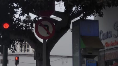 Ramas arbol tapando STOP En la avenida Eugenio Rijo Rocha con el cruce calle Tinamala hay un semaforo con dos señales una prohibido girar izquierda y un stop, ya ha sucedido que el semaforo se ha averiado y ha habido accidente por estar las ramas del arbol tampandola