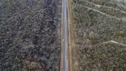 incendios de Brasil de este año se han producido en la Amazonia incendios de Brasil de este año se han producido en la Amazonia