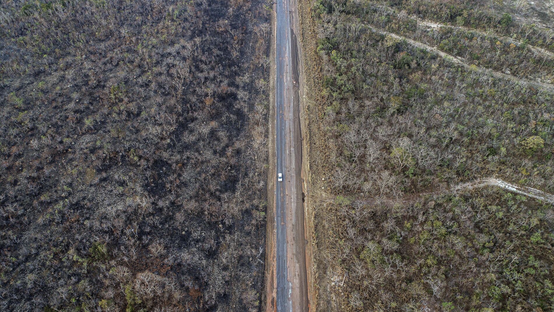 incendios de Brasil de este año se han producido en la Amazonia
