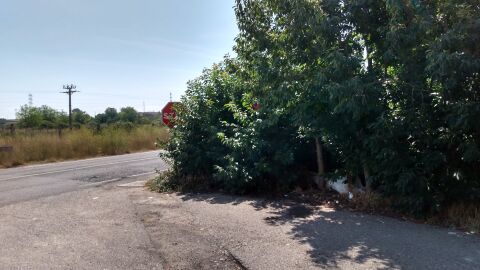 Peligro consrante Señales no visibles y peligrosa al estar tapadas por arbustos tienes que sacar medio vehículo a la carretera. Carretera avinguda artesa con intersección calle Artur Vives. Gracias
