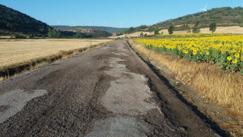 Carretera con un firme desastroso y muy peligroso. Es utilizada por varios pueblos para ir a servicios tan básicos como ir al médico o comprar. Algunos han dejado de usarla, yéndose por caminos comarcales, todos de tierra y más peligrosos pues si tienen cualquier percance, allí no accede la asistencia en carretera. Llevamos varios años reclamando su arreglo, pero sólo nos dan largas. ¡¡ ÚNETE A PONLE FRENO !! 