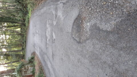 La carretera LU-P-4112 esta en mal estado, sobretodo a la altura de las curvas, al pasar el pazo del Regengo dirección a Monforte. Lleva muchos años mal, y ya no hay forma de librar los baches. 