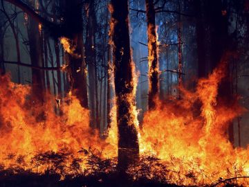 La aldea de A Carballosa, en Porto do Son ha sido afectada por un gran incendio forestal 