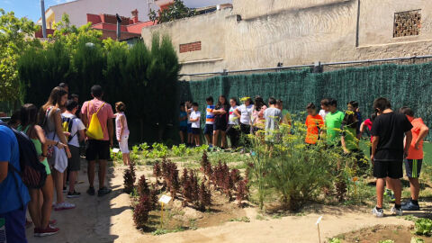 Huerto ecológico del colegio público de Hurchillo.
