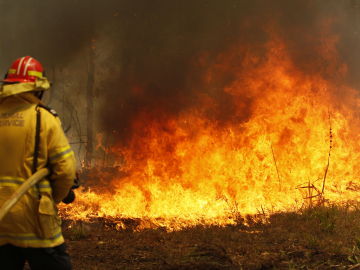 Oleada de incendios en Nueva Gales del Sur, en Australia