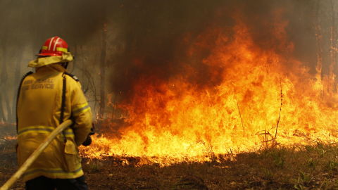 Oleada de incendios en Nueva Gales del Sur, en Australia