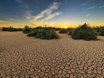 El Parlamento Europeo declara la emergencia climatica global