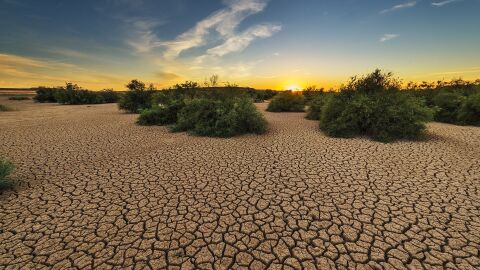 El Parlamento Europeo declara la emergencia climatica global