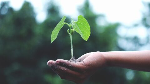 Concienciaci&oacute;n infantil sobre el clima
