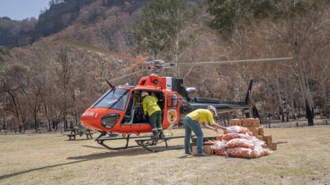 Australia lanza desde helicópteros comida a los animales afectados por los incendios Australia lanza desde helicópteros comida a los animales afectados por los incendios
