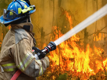 Algunas noticias falsas hablan también de que los ecologistas tratan de frenar el trabajo de los bomberos.