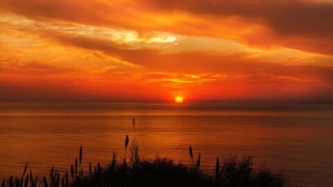 Atardecer