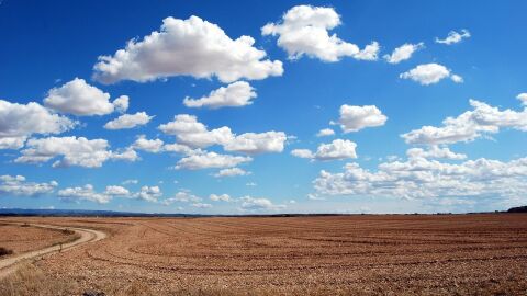 Cielo Cielo
