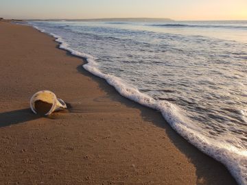 Vaso de plástico en una playa