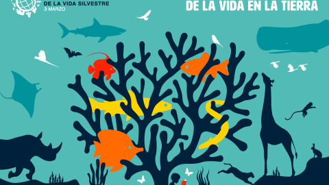 D&iacute;a Mundial de la Vida Silvestre
