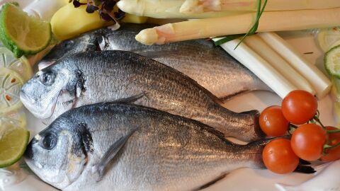Pescado fresco
