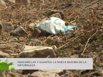 Mascarillas y guantes: la nueva basura de la naturaleza