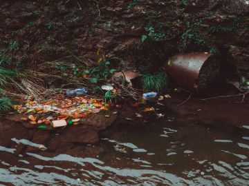 Residuos plásticos en un río