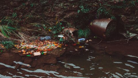 Residuos pl&aacute;sticos en un r&iacute;o