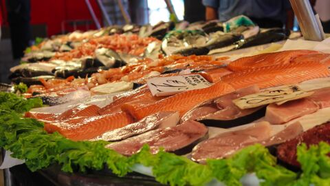 Pescado fresco
