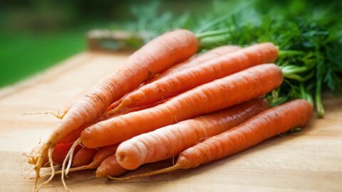 Zanahorias Zanahorias