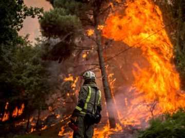 Un bombero realiza labores de extinción en el incendio forestal que permanece activo en el municipio orensano de Toén