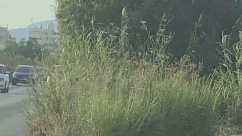 Se&ntilde;al tapada por matorral