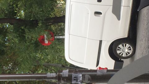 Se&ntilde;al tapada por &aacute;rbol