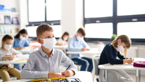 Clases 'online'