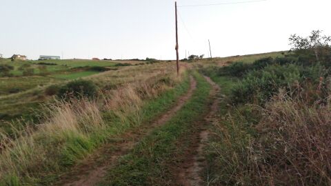 Denuncia recibida Carretera abandonada