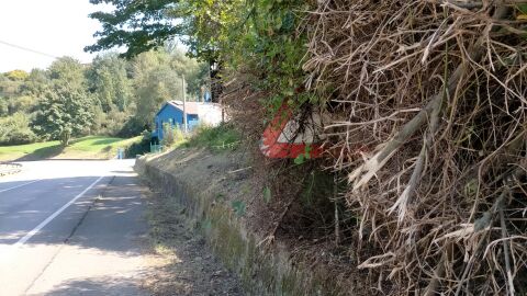 Se&ntilde;al tapada por vegetaci&oacute;n