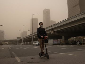 La contaminación podría ser la causa de la reducción del tamaño de los penes, según un estudio