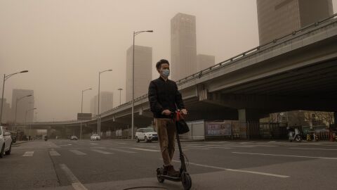 La contaminación podría ser la causa de la reducción del tamaño de los penes, según un estudio La contaminación podría ser la causa de la reducción del tamaño de los penes, según un estudio