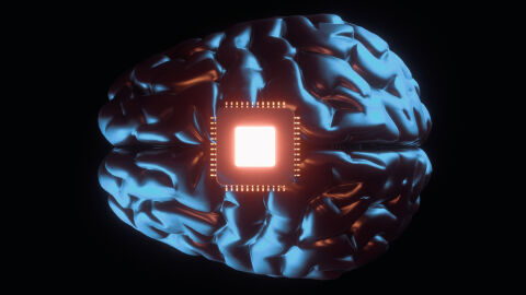 Neurotecnología y derechos