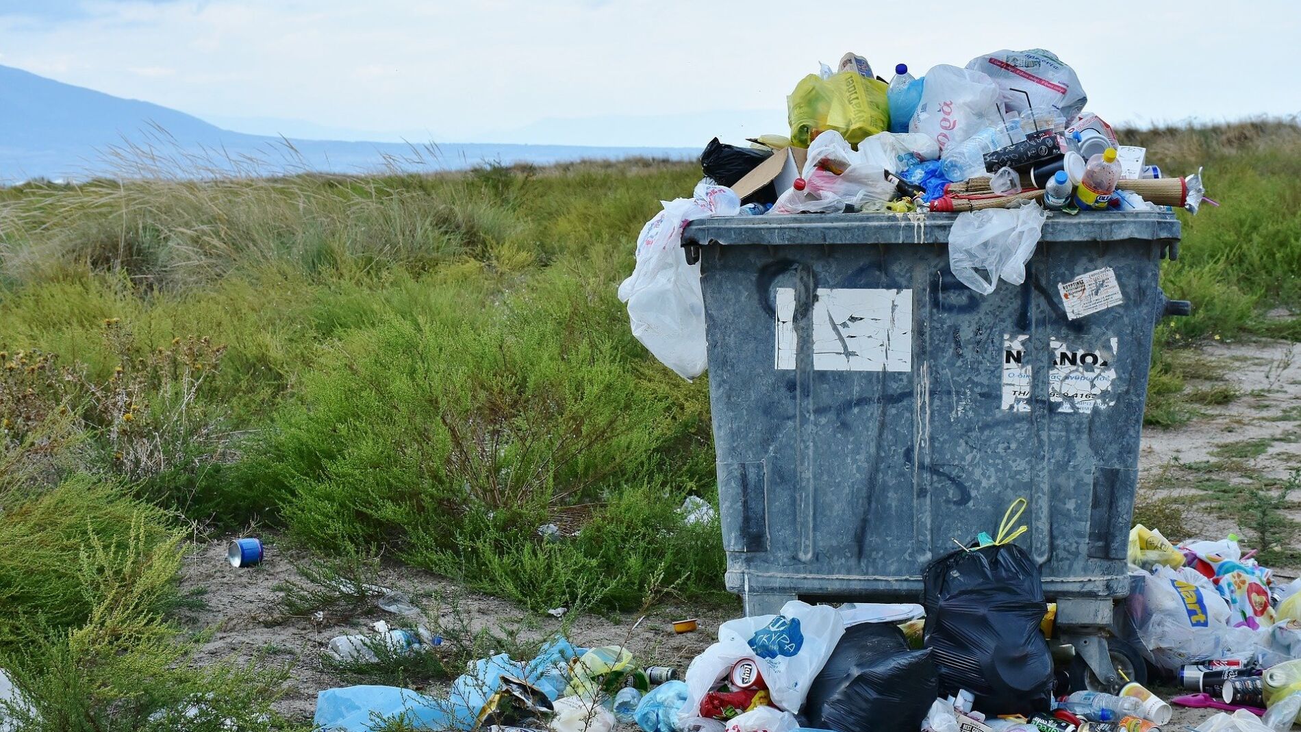 Basura en la naturaleza