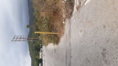 Carretera sin arcén invadida por la vegetación en Málaga