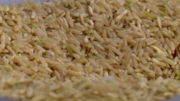 Los secretos del arroz