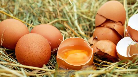 Huevos Huevos