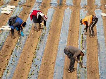 Luz verde a la regularizaci&oacute;n de inmigrantes