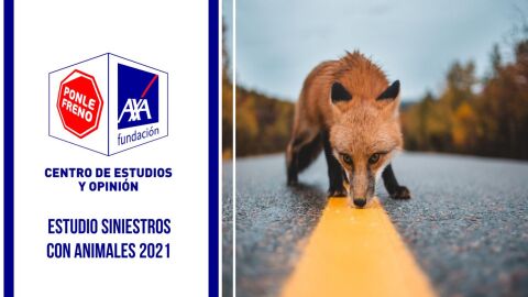 Los siniestros con animales se disparan un 60% en 2021