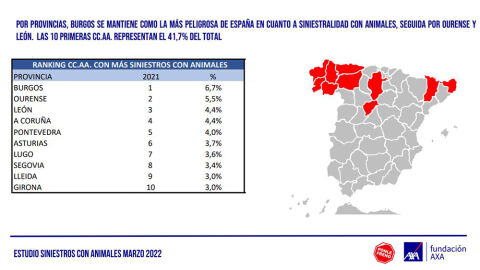 V Informe siniestros con animales. Datos por provincias V Informe siniestros con animales. Datos por provincias