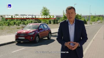  Sin el cinturón de seguridad, la probabilidad de sufrir un siniestro mortal es el doble