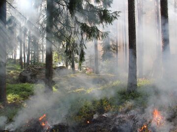 Bruselas pide a España responsabilidad y rigor en la gestión de la crisis climática