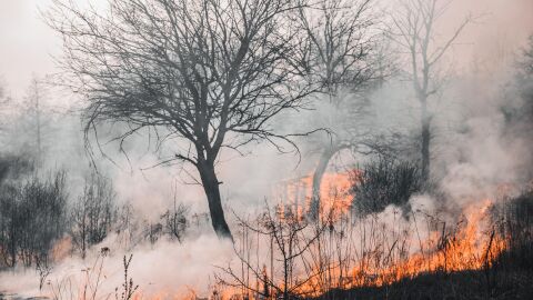 Los incendios extremos serán la "nueva normalidad", alertan los expertos Incendio forestal