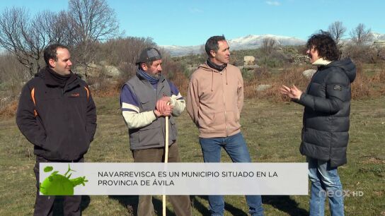 programa Hazte Eco 1 programa Hazte Eco 1